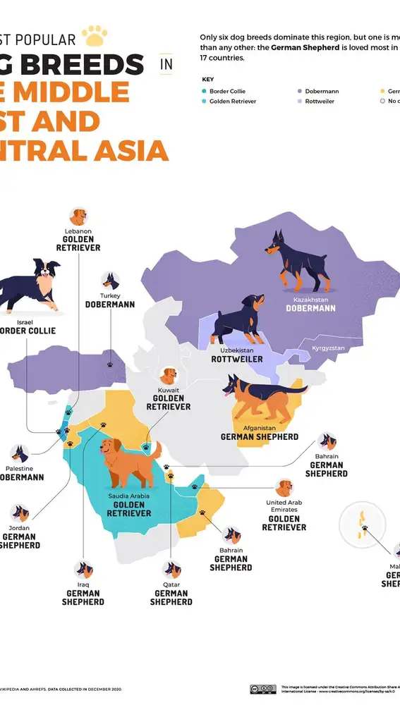 Mapa de Oriente Medio y Asia Central de los perros más populares