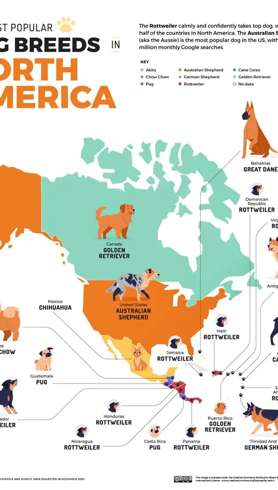 Mapa de Norteamérica de los perros más populares