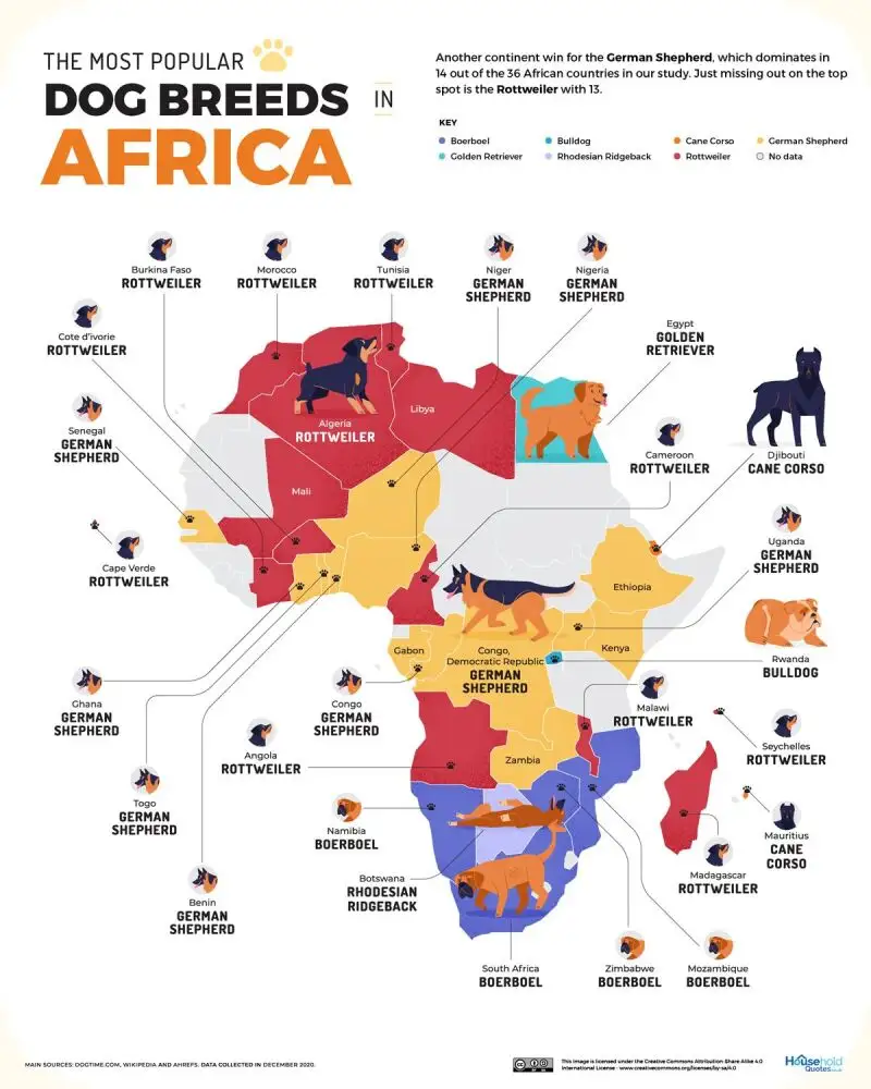 Mapa de África de los perros más populares