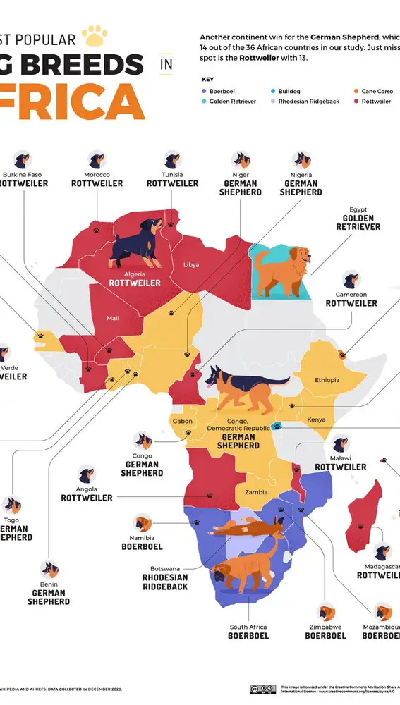 Mapa de África de los perros más populares