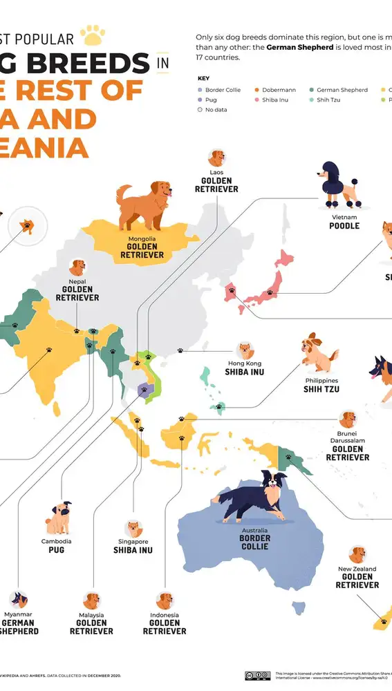 Mapa del resto de Asia y Oceanía de los perros más populares