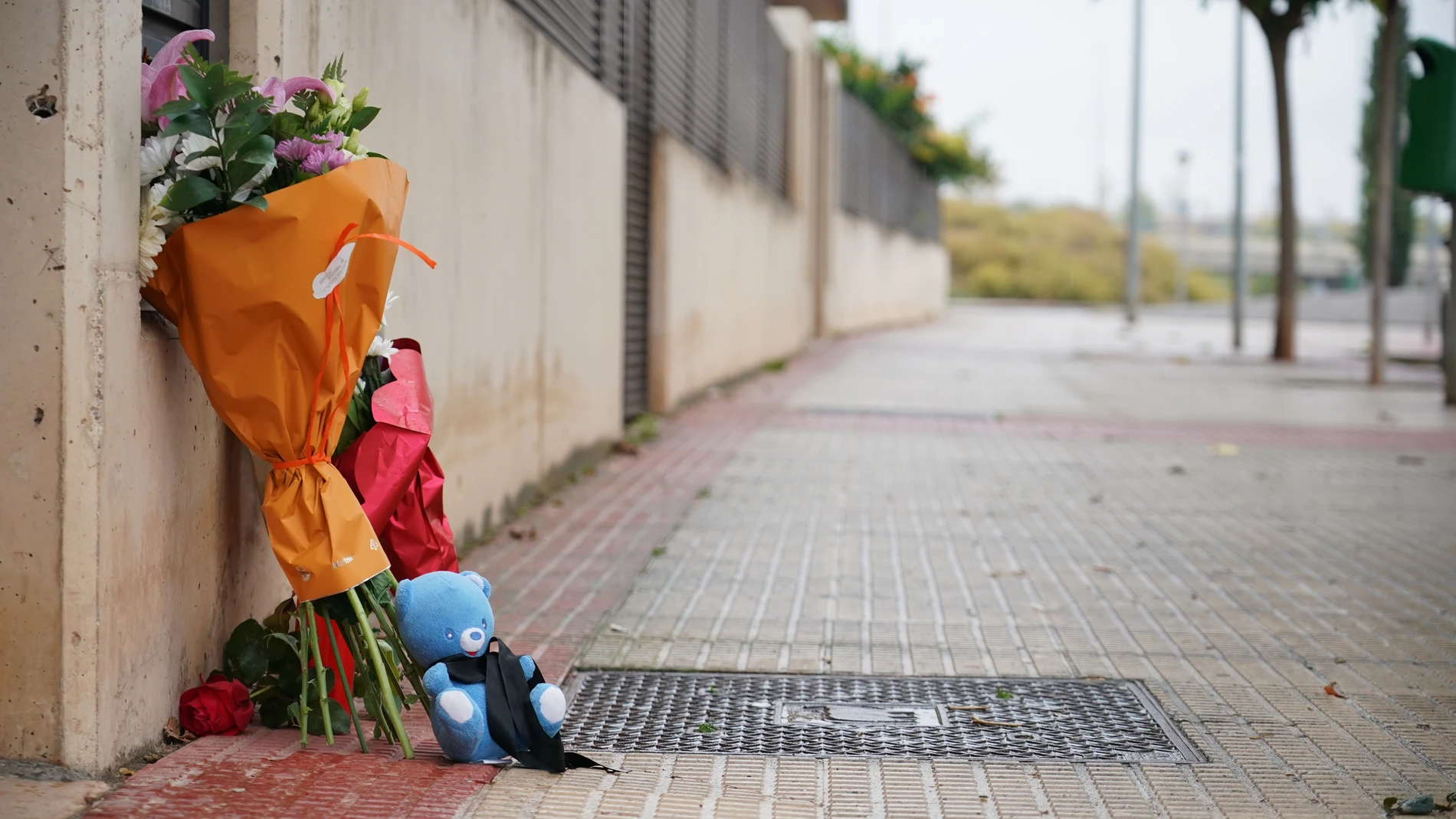Varios ramos de flores y un peluche en la zona donde un hombre asesinó a un niño de 9 años