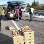 Control de la Guardia Civil de Soria en una carretera soriana para hacer frente a la recogida ilegal de setas