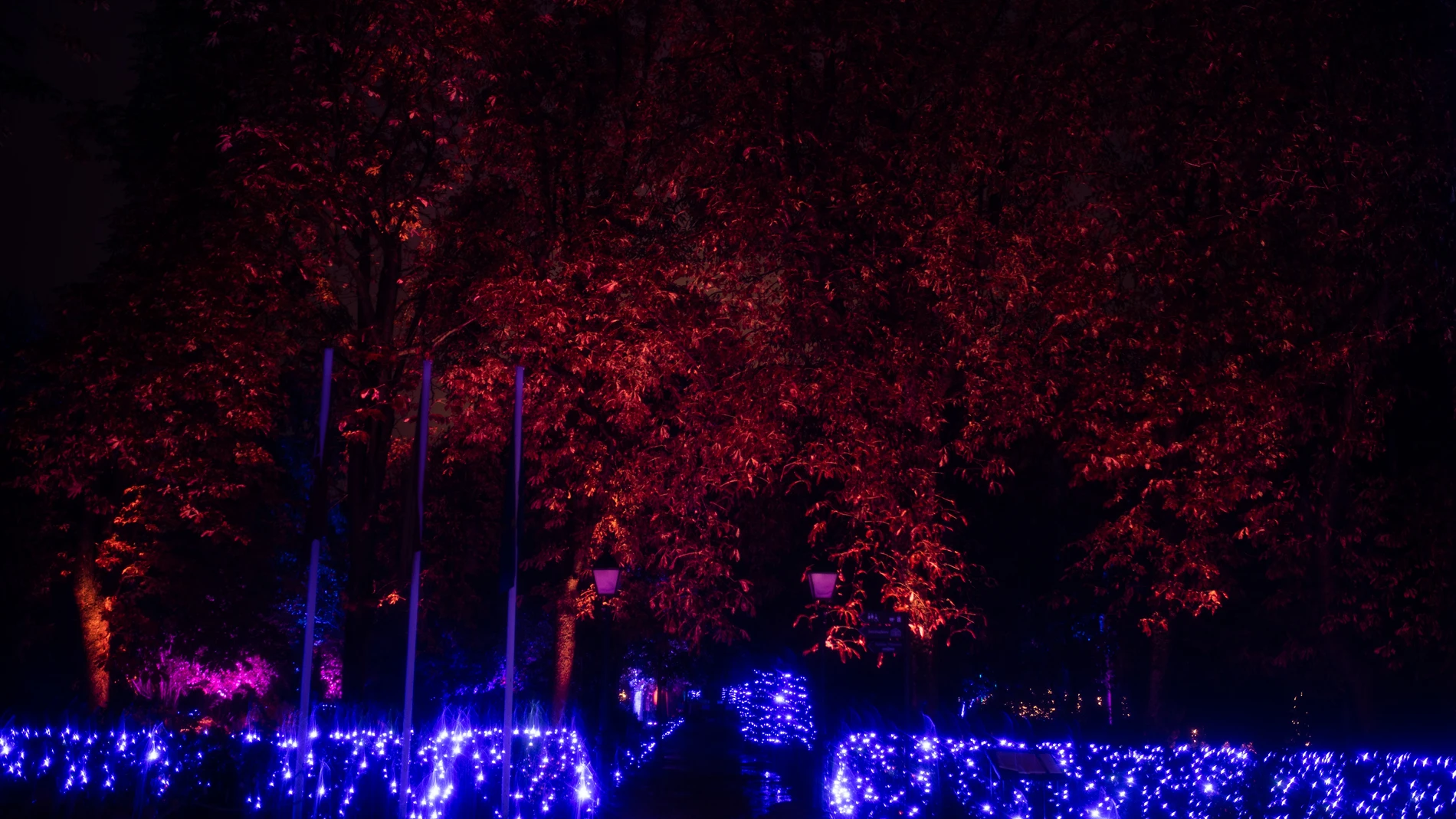 Naturaleza Encendida en el Real Jardín Botánico. Alejandro Martínez Vélez / Europa Press