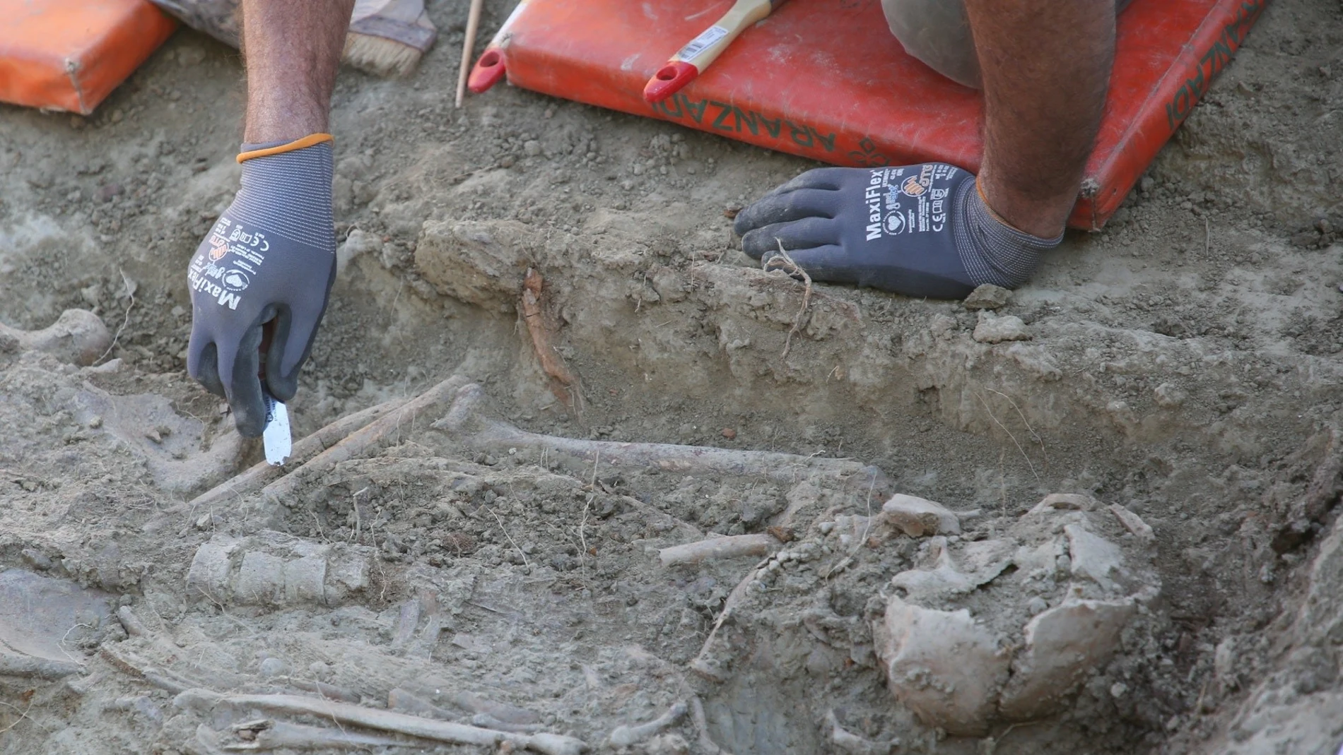 Los responsables organizan visitas a exhumaciones con el fin de entrar en contacto con «el drama de los desaparecidos». En la imagen, trabajos en el cementerio de Elcarte