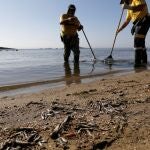 Murcia carga contra el Ministerio ante el episodio de mortandad de peces en el Mar Menor: “Lo advertimos desde hace meses”