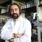 El virólogo Adolfo García Sastre es presidente del comité científico del primer Congreso Mundial de Pandemias, que se celebrará en Ifema Madrid del 19 al 20 de noviembre