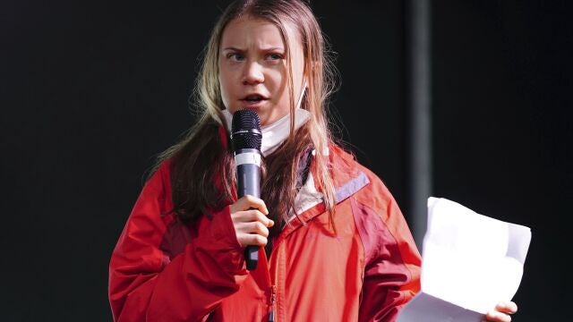 Vinagreta Thunberg