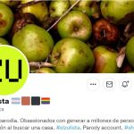 Perfil de @elzulista en Twitter