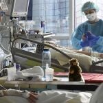 Un sanitario atiende a un paciente en estado crítico en la Unidad de Cuidados Intensivos del Hospital Universitario de Leipzig, en Alemania.