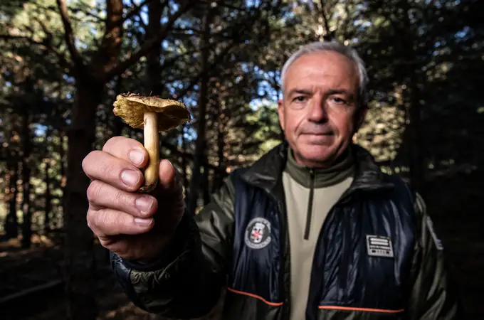 Cuando el peligro nace en la Sierra de Madrid: de la seta asesina a la muscaria