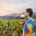 La Región de Murcia ofrece vinos blancos, tintos y rosados ricos en matices de tres Denominaciones de Origen: Bullas, Jumilla y Yecla.
