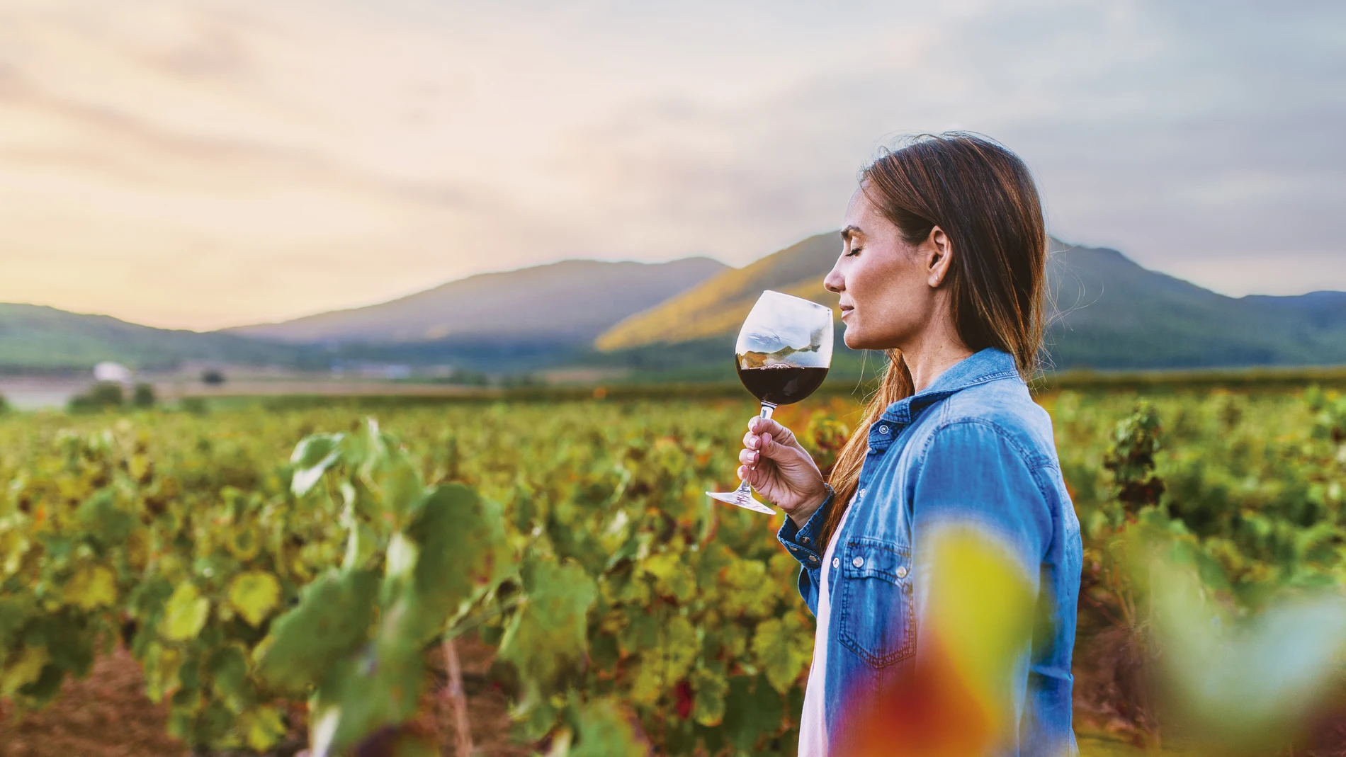 La Región de Murcia ofrece vinos blancos, tintos y rosados ricos en matices de tres Denominaciones de Origen: Bullas, Jumilla y Yecla.