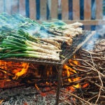 Calçotada en Valls