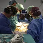  Consiguen trasplantar con éxito un hígado dañado tras ser reparado en una máquina durante tres días