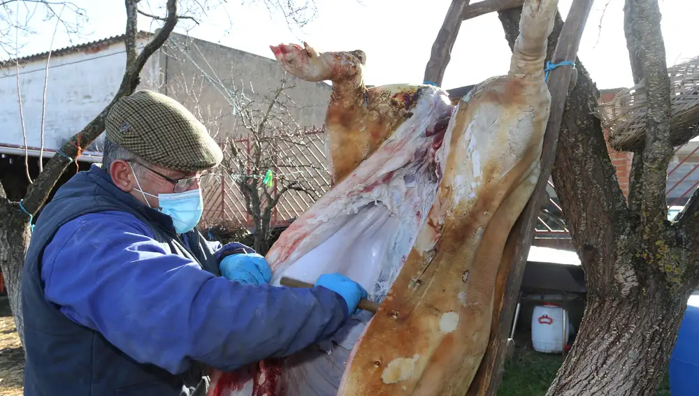 matanza del cerdo en Villada (Palencia)