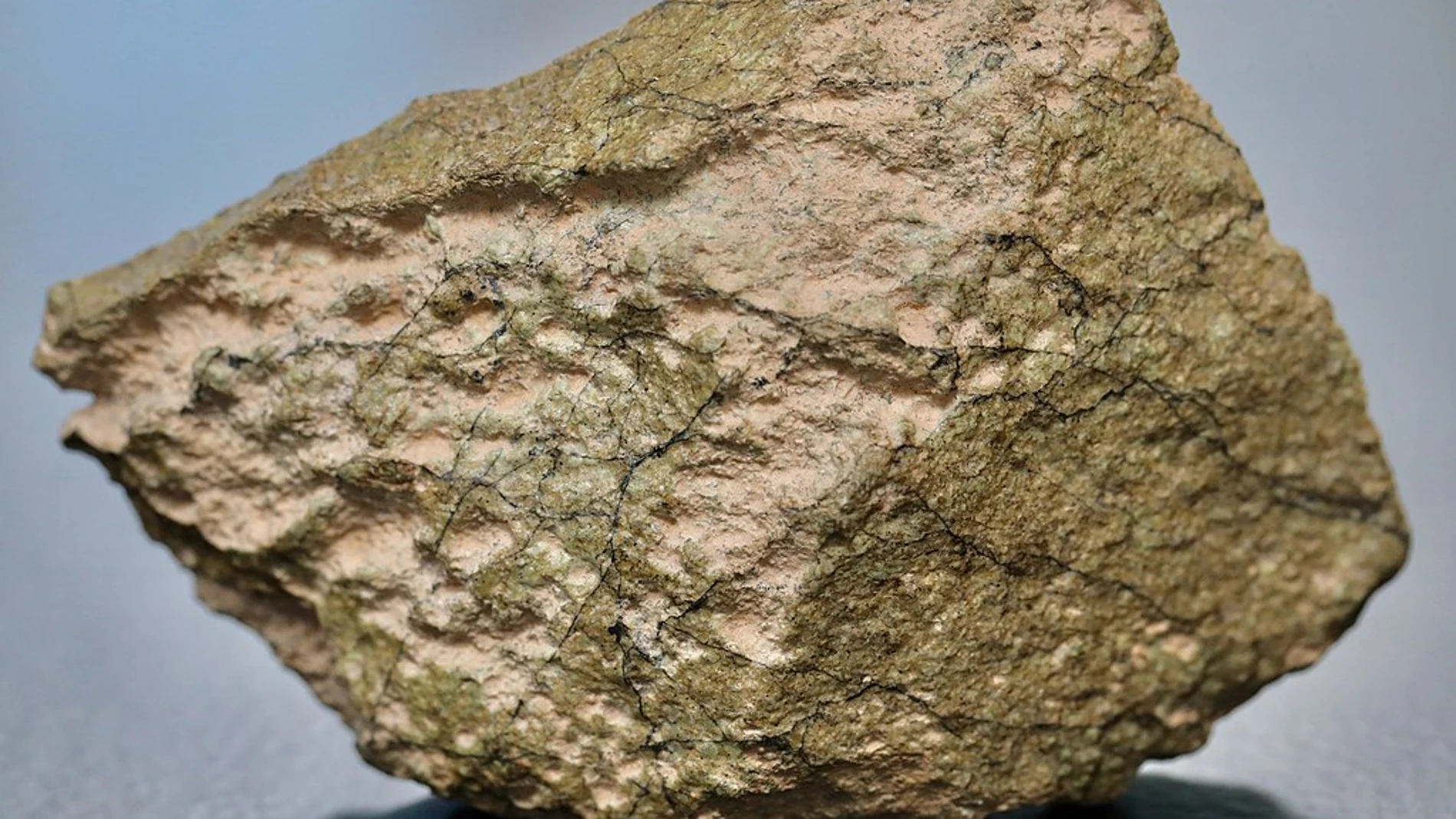 El meteorito NWA 6950, un fragmento de la Luna que llegó a la Tierra tras ser eyectado de la superficie de nuestro satélite por un impacto.