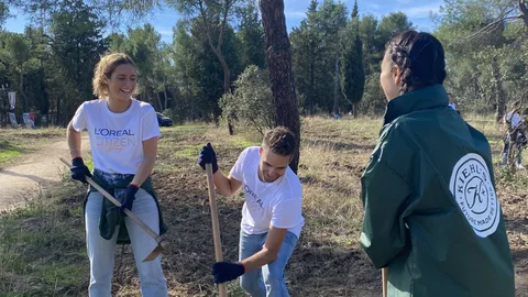 Proyecto de reforestación
