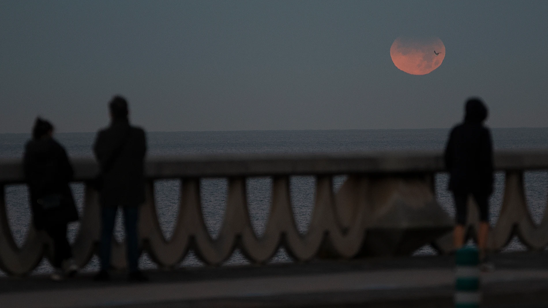 Tres personas observan un eclipse lunar parcial desde A Coruña