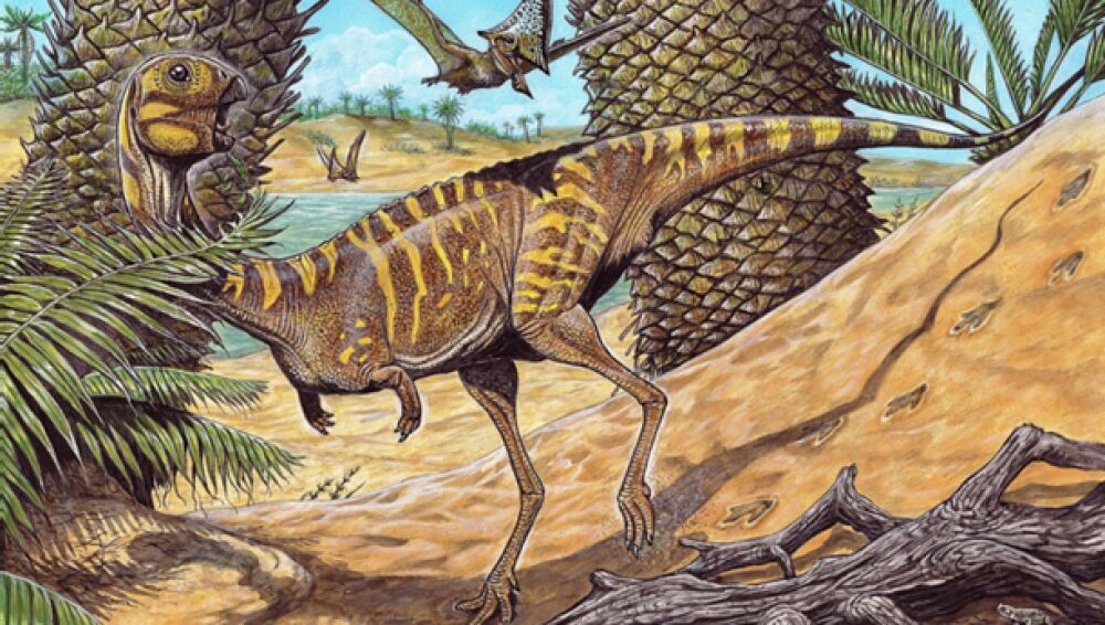 Un dinosaurio con pico reafirma el hecho de que las aves también son dinosaurios Un dinosaurio con pico reafirma el hecho de que las aves también son dinosaurios