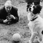 Pickles, el perro que "ganó" la Copa del Mundo