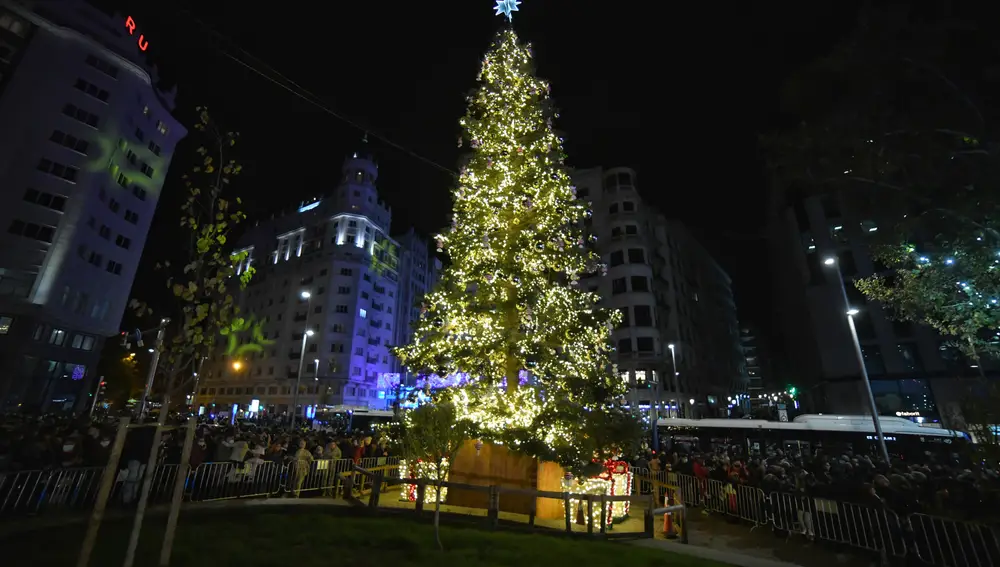 El abeto natural de Plaza España, en el acto de encendido de la iluminación navideña de la ciudad
