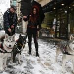 LEÓN, 27/11/2021.- Dos personas pasean con sus perros bajo una intensa nevada este sábado en León. Las nueve provincias de Casilla y León continúan en alerta por nevadas desde el pasado lunes 22 de noviembre que serán localmente persistentes este fin de semana en las provincias de León, Palencia y Burgos, donde el nivel de riesgo se sitúa en estos momentos cerca del rojo, con acumulaciones de hasta 37 cm Temporal de nieve y frío que afecta a la ciudad de León. EFE/J.Casares