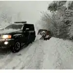  La Guardia Civil de Navarra, la que va a perder sus competencias de Tráfico, presta importantes servicios durante el temporal de nieve
