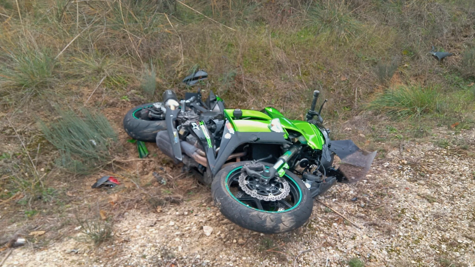 Herido un motorista tras atropellar a un corzo en la carretera DSA-360, en Casillas de Flores (Salamanca)