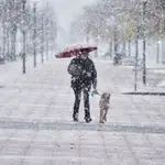 Una mujer camina junto a su perro mientras nieva, a 28 de noviembre de 2021, en Pamplona, Navarra (España)