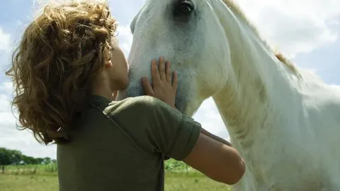 Bienestar animal. Bienestar para todos