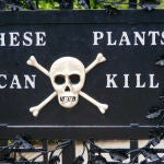 Advertencia en la puerta de entrada al "Jardín de los venenos" |Fuente: alnwickgarden.com