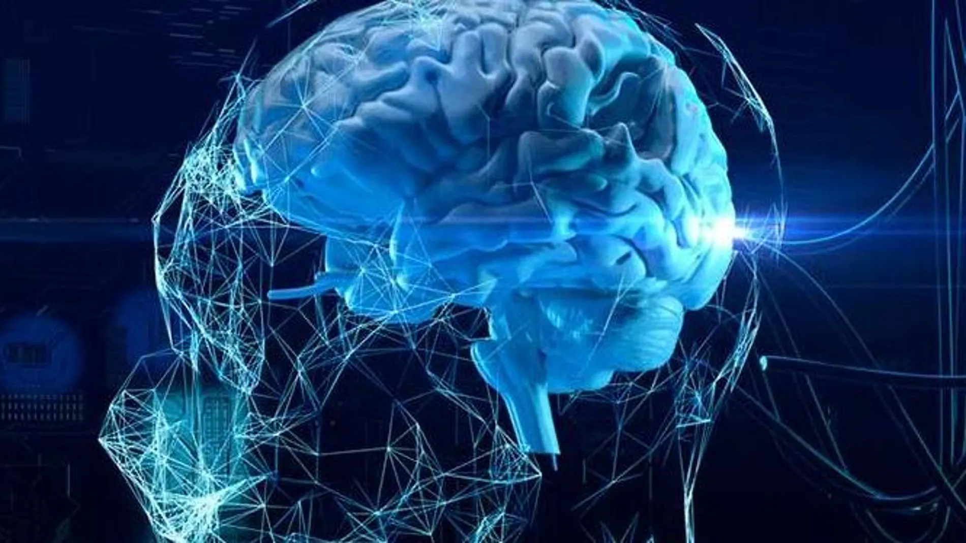 Los nutrientes neuroselectivos son aquellos que necesitamos para el desarrollo óptimo del cerebro