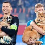 Los jugadores del Zenit con las mascotas