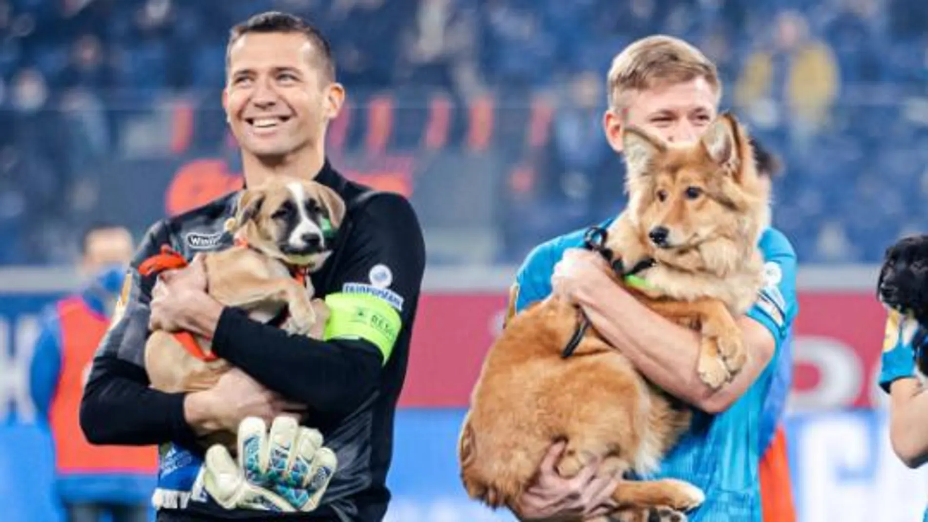 Los jugadores del Zenit con las mascotas