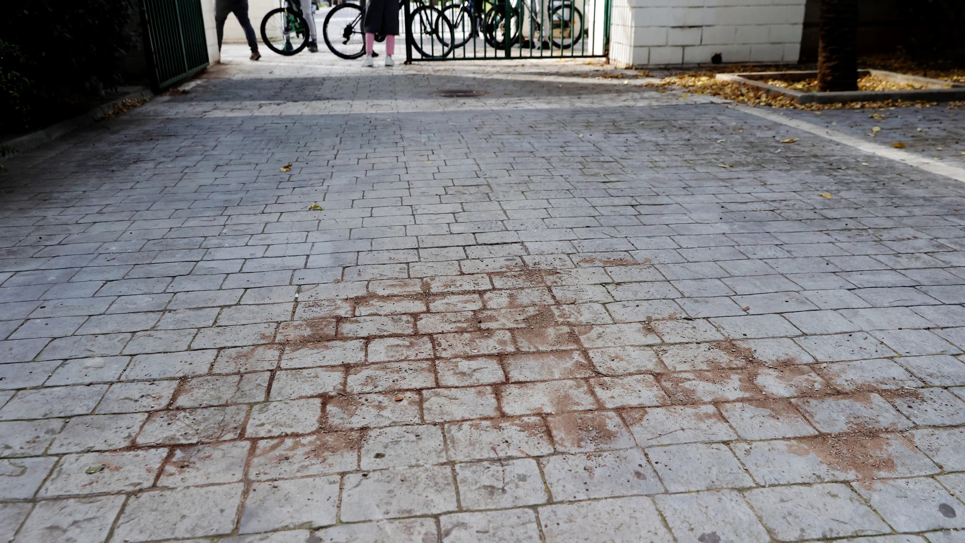 Vista general del lugar donde un joven de unos 16 años, cuya identidad no ha sido facilitada, falleció en la tarde del domingo tras recibir al menos una puñalada durante una pelea con otro joven en un parque público de Burjassot (Valencia). EFE/Kai Försterling