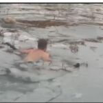 Uno de los agentes, ya en el agua helada, acude al rescate del perro