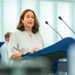  Margarita De la Pisa, la diputada de VOX “más trabajadora” del Parlamento Europeo y madre de nueve hijos