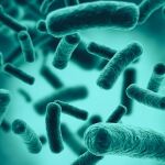 Las bacterias que viven en el intestino forman la microbiota natural de los seres vivos