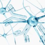 La investigación de tratamientos con anticuerpos monoclonales resulta prometedora