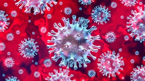 La disfunción endotelial estaría detrás de algunos síntomas que duran tras la infección por SARS-CoV-2