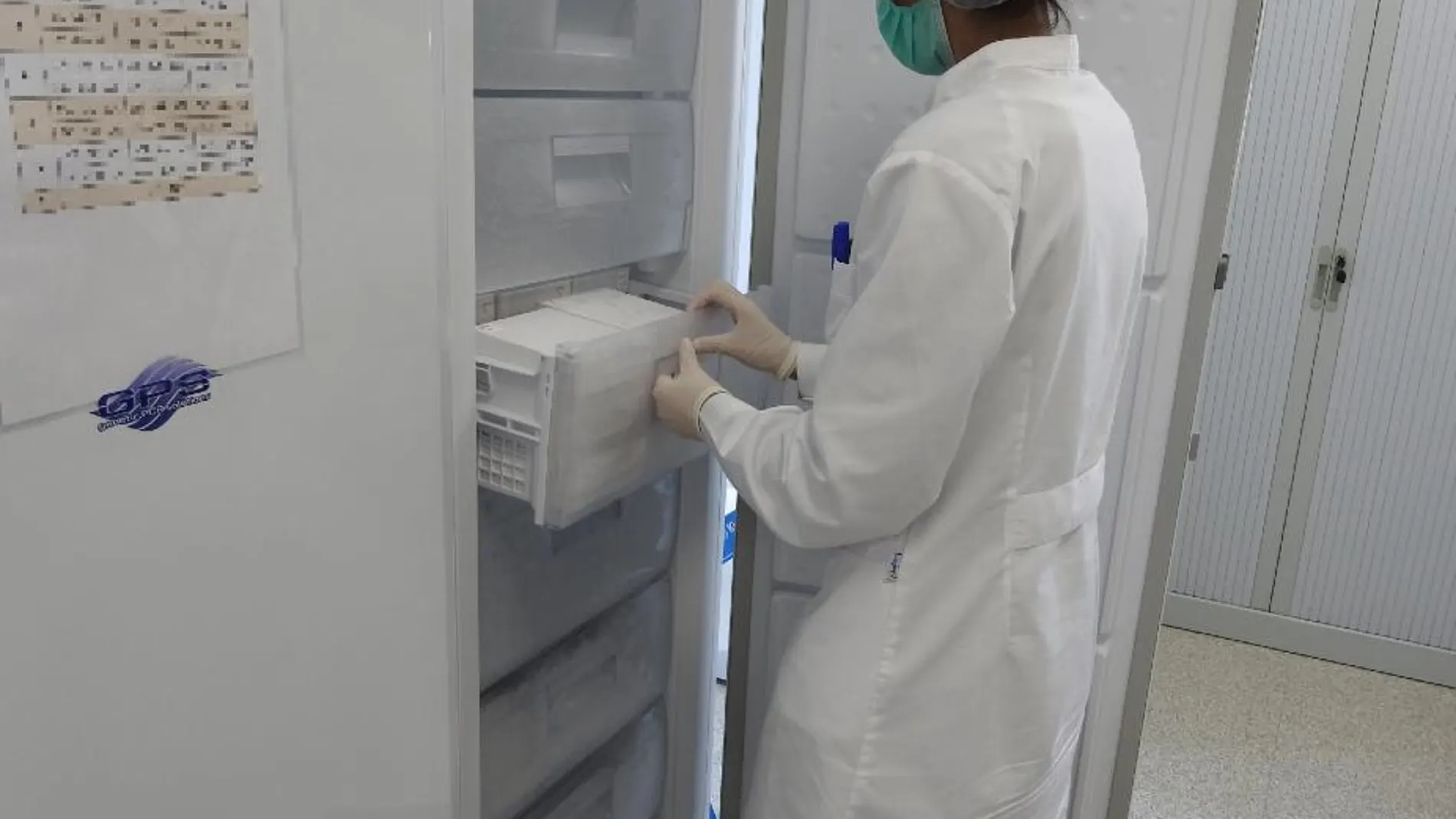 Imagen de la empresa Genetic Analysis Strategies, SL,