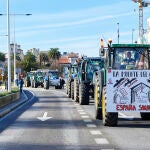 Varios tractores circulan por una carretera en una manifestación de profesionales de la ganadería, en Santander