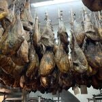 La sierra de Huelva es un enclave privilegiado para la producción de jamón. EFE/Julián Pérez