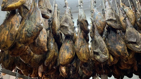 La sierra de Huelva es un enclave privilegiado para la producción de jamón. EFE/Julián Pérez