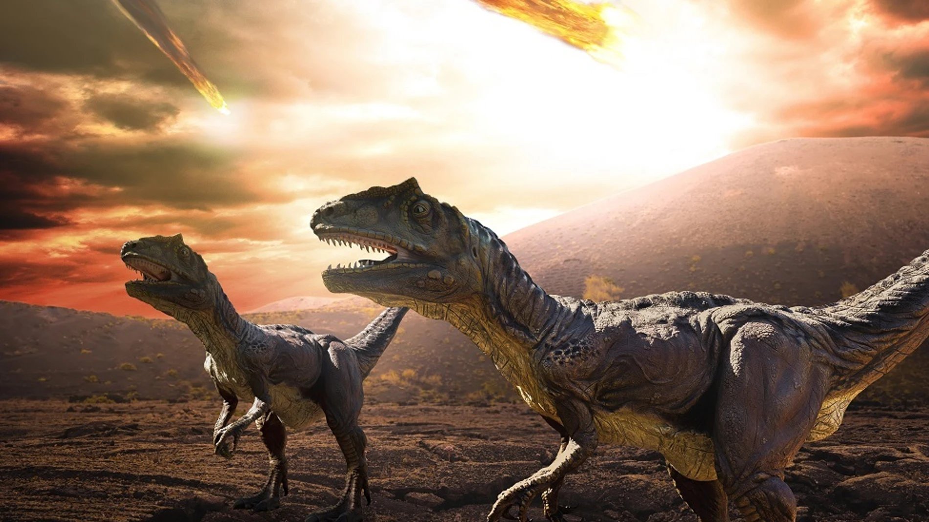 La primavera, la estación de los nuevos comienzos, puso fin al reinado de los dinosaurios de 165 millones de años y cambió el curso de la evolución en la Tierra.FLORIDA ATLANTIC UNIVERSITY (Foto de ARCHIVO)01/11/2018