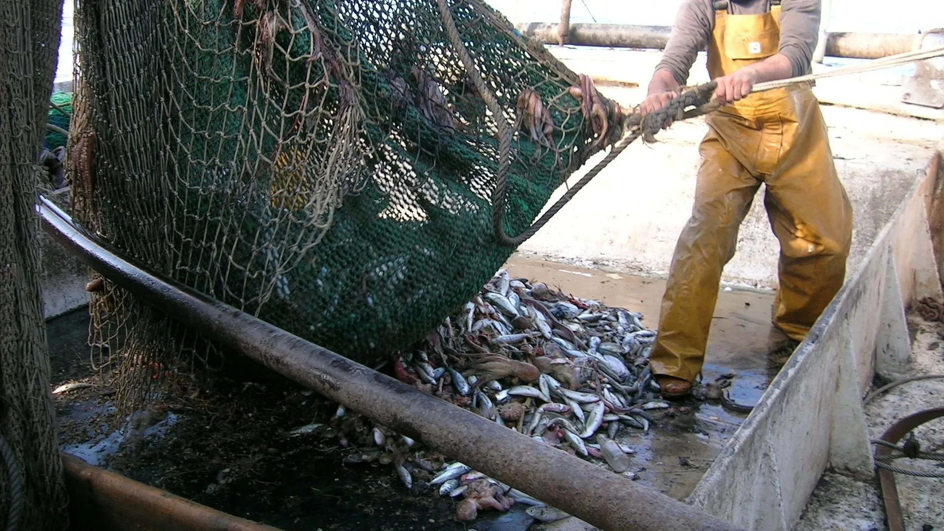 El sector pesquero andaluz rechaza el acuerdo alcanzado en la UE