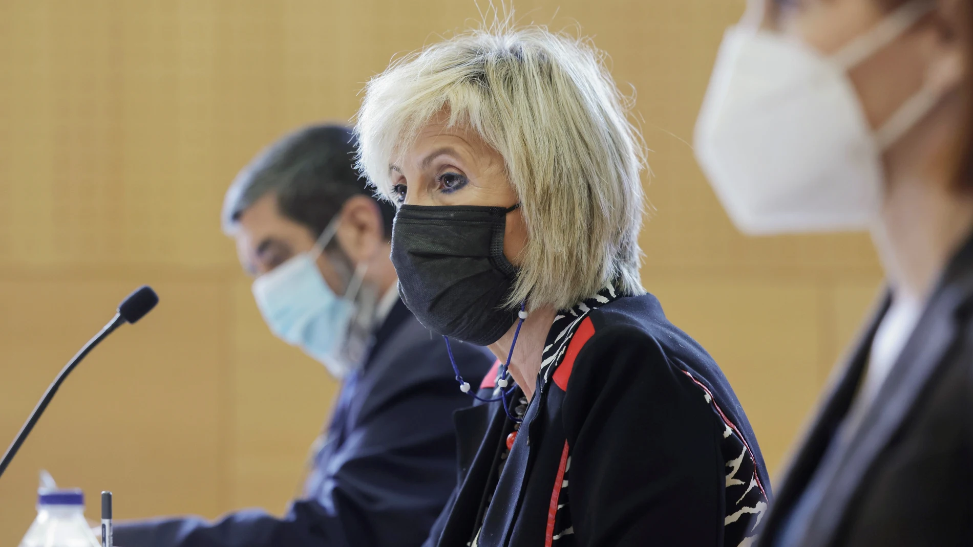 La consejera de Sanidad de Castilla y León, Verónica Casado, da una rueda de prensa para informar sobre los datos de agresiones al personal sanitario, este miércoles en Valladolid.