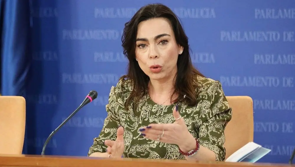 La portavoz parlamentaria de Cs, Teresa Pardo, en rueda de prensa.Cs.