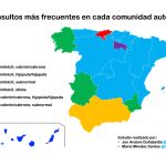 Estos son los insultos más utilizados en España